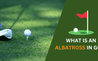 What is an Albatross in Golf?