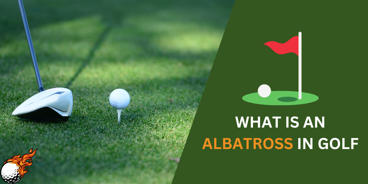 what is an albatross in golf
