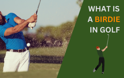 What is a Birdie in Golf? Definition & How to Score One in 2024